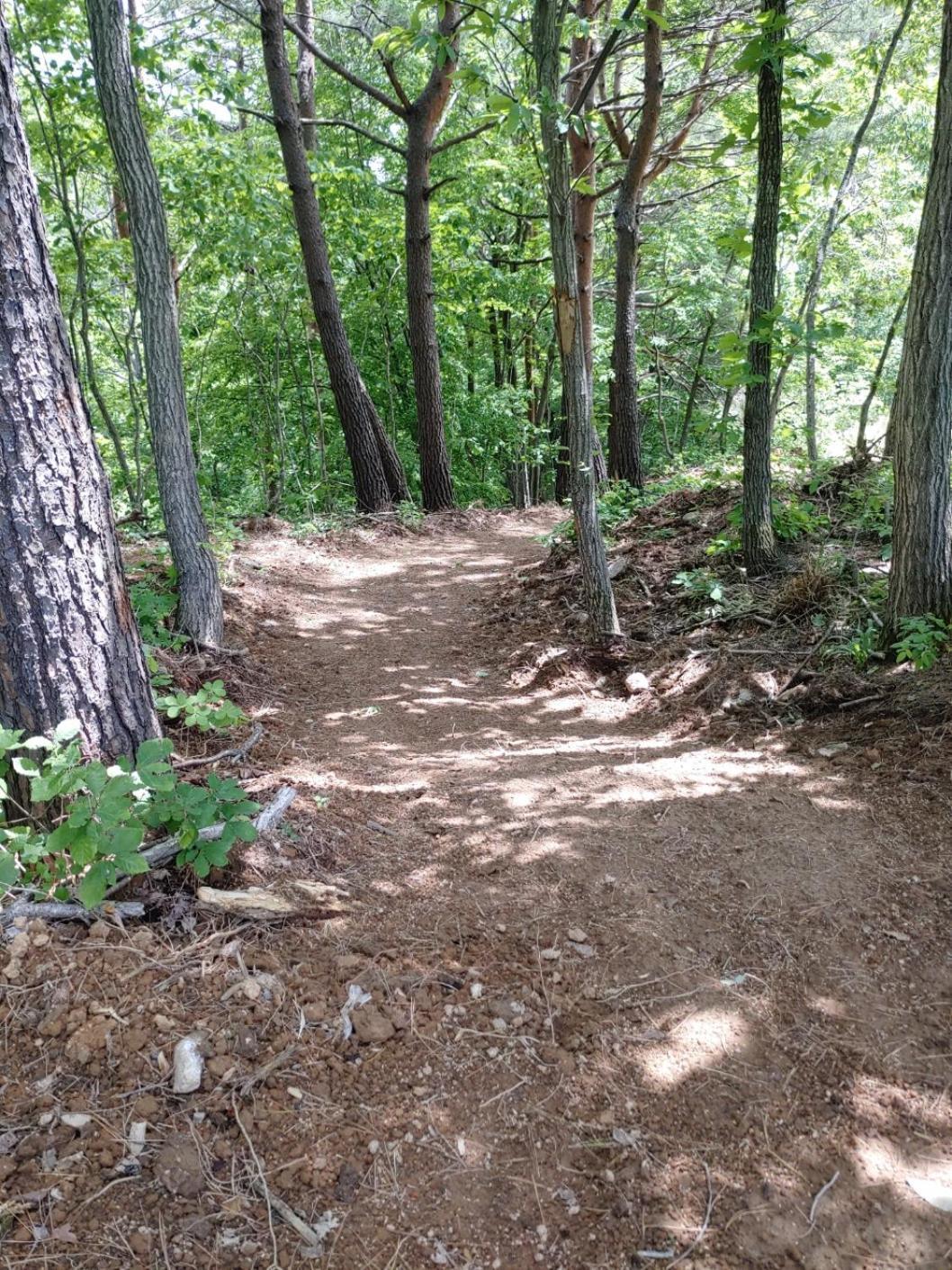 Forest Healing Park Cheongyu Ξενοδοχείο Κανγκούνγκ Εξωτερικό φωτογραφία