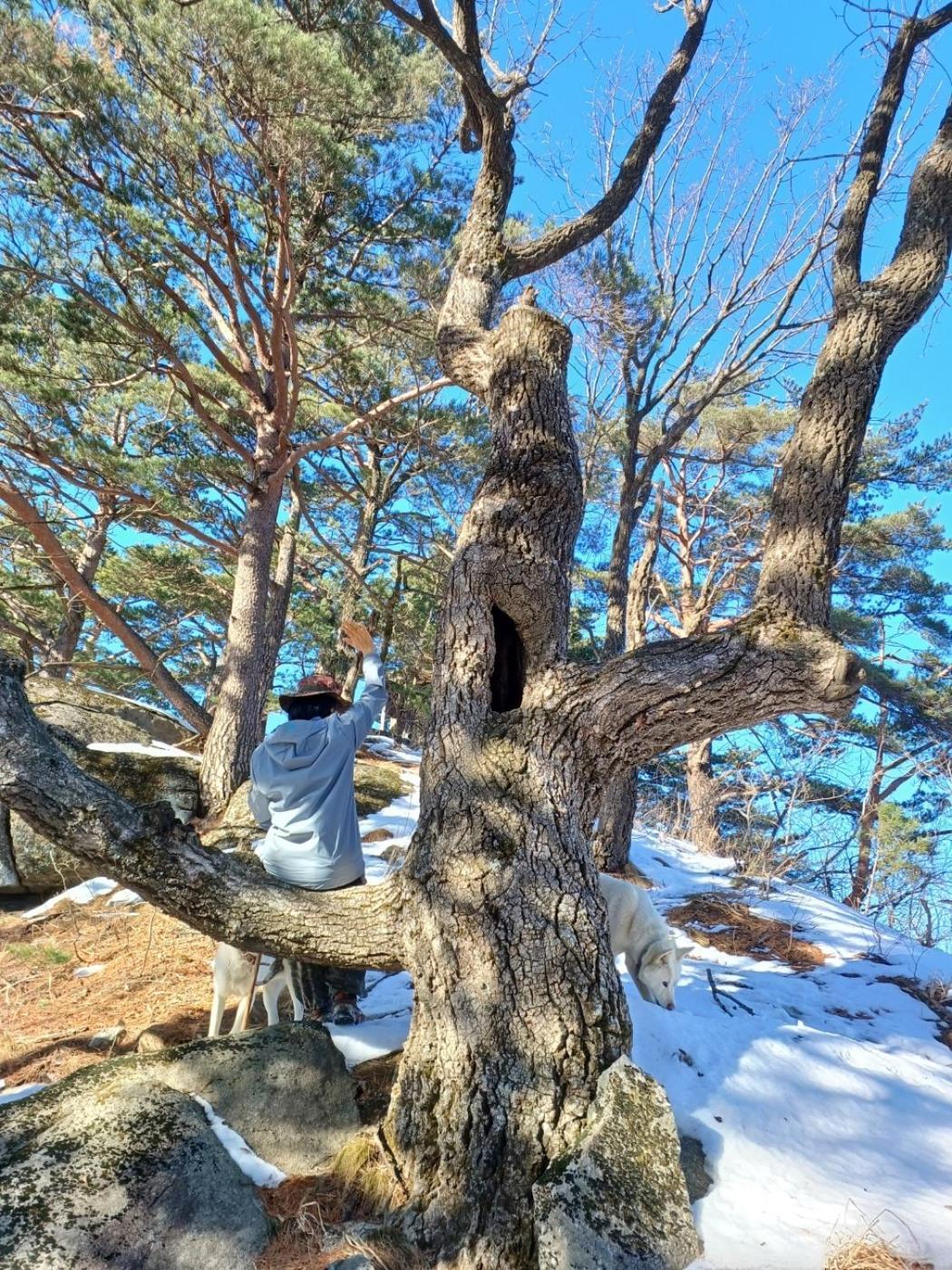 Forest Healing Park Cheongyu Ξενοδοχείο Κανγκούνγκ Εξωτερικό φωτογραφία