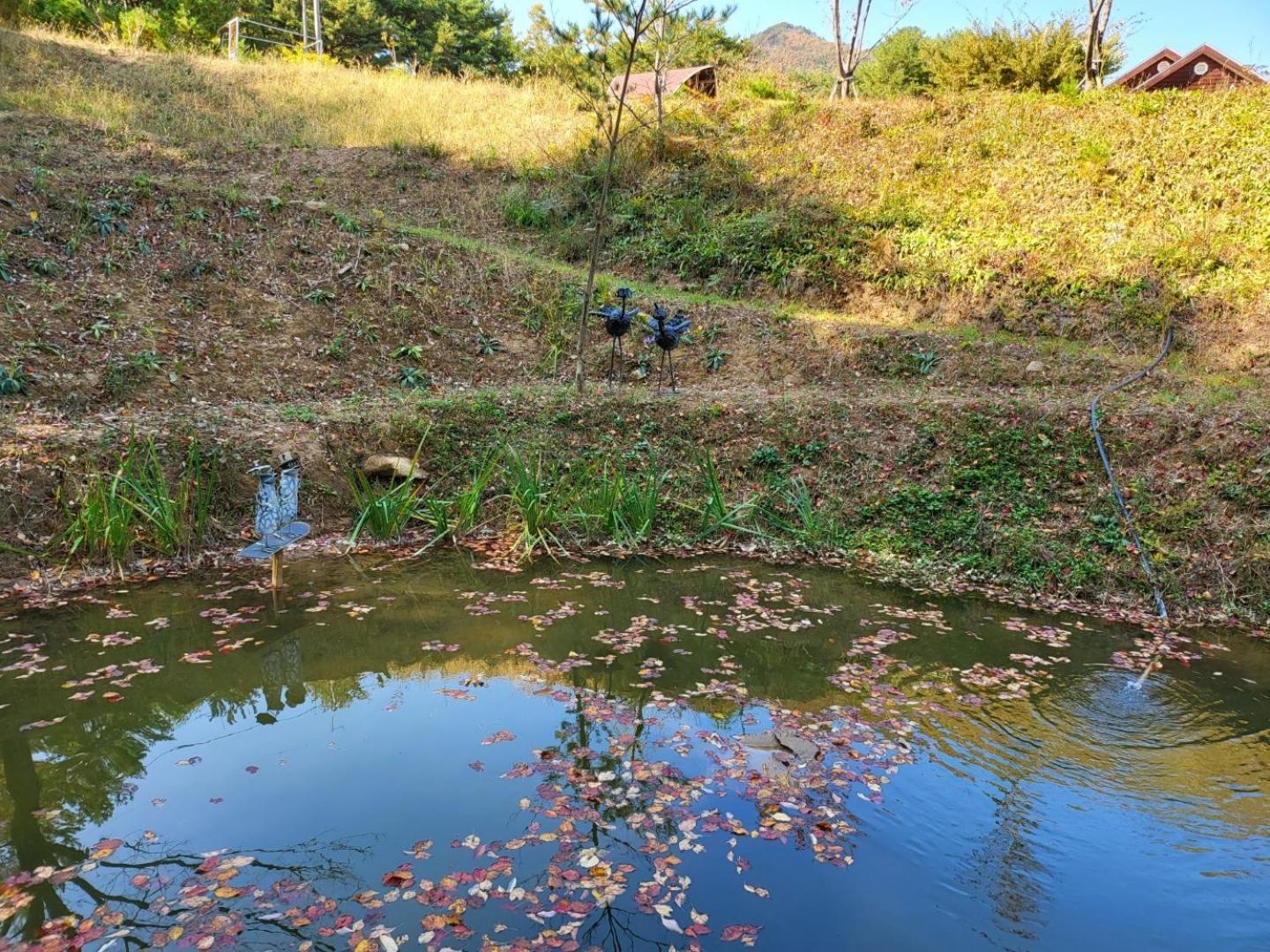 Forest Healing Park Cheongyu Ξενοδοχείο Κανγκούνγκ Εξωτερικό φωτογραφία